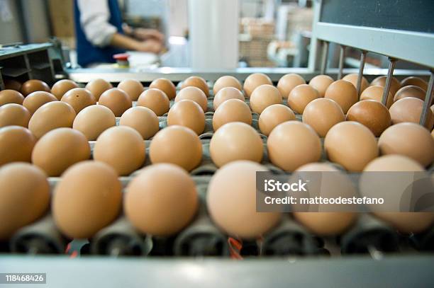 Яйцо Ферма — стоковые фотографии и другие картинки Промышленность - Промышленность, Яйцо животного, Без людей