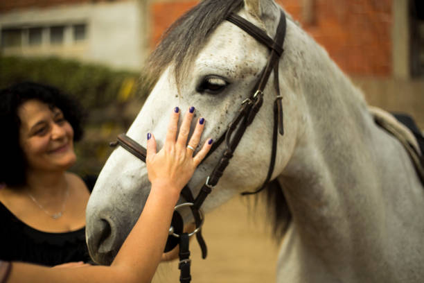 istock Two woman cuddle handsome horse 1184685486