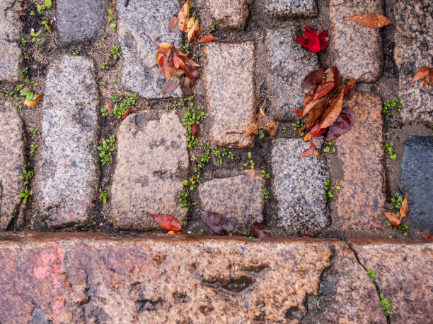 istock Street paved with sett stones 1184688155