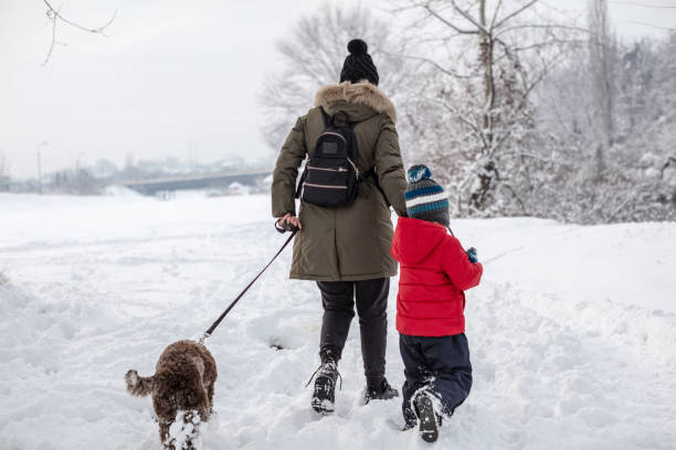 istock Happy young family playing in fresh snow 1184688676