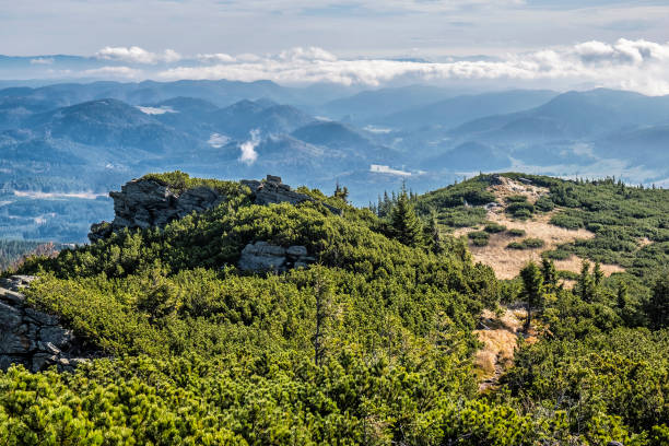 istock View Kralova Hola peak, Slovakia 1184689235