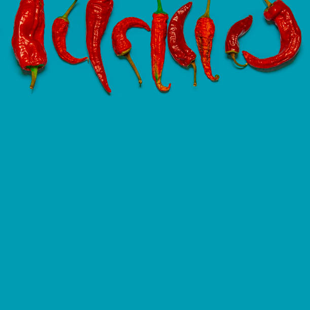 istock Dried red chili peppers lie on a multi-colored background 1184689263