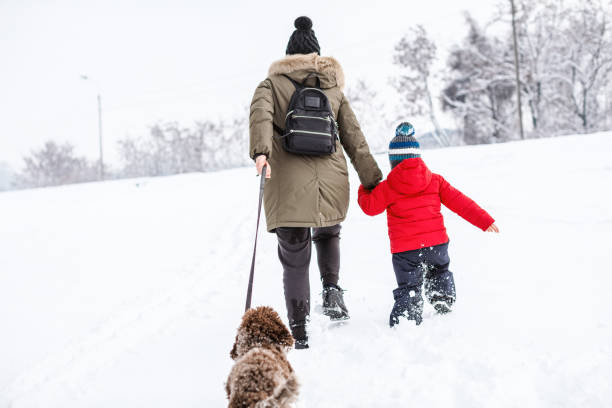 istock Happy young family playing in fresh snow 1184689836