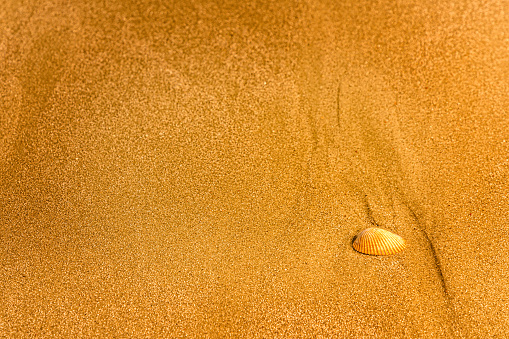 Sandy beach with footprints