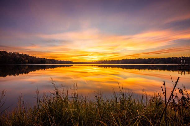 Colorful Sunset At Davis Lake A Sunset At Davis Lake. 
At the mile post 243 exit on the Natchez Trace and about 4 miles you'll meet this 200 acre lake in Houston Mississippi.
Lots of fishing and camping here and a great setting for dramatic sunsets. Lake stock pictures, royalty-free photos & images