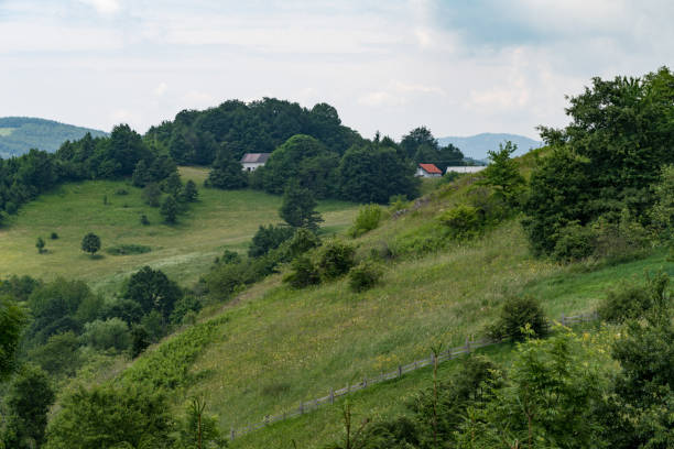 istock A beautiful green meadows, surrounded by the forest, with mountain in the background. 1184694718
