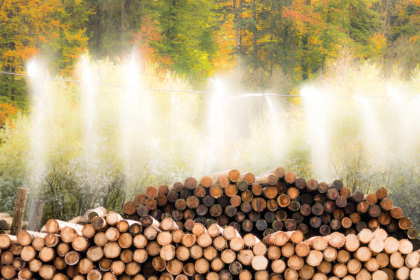 Irrigation system in the timber industry. Autumn forest in the background.