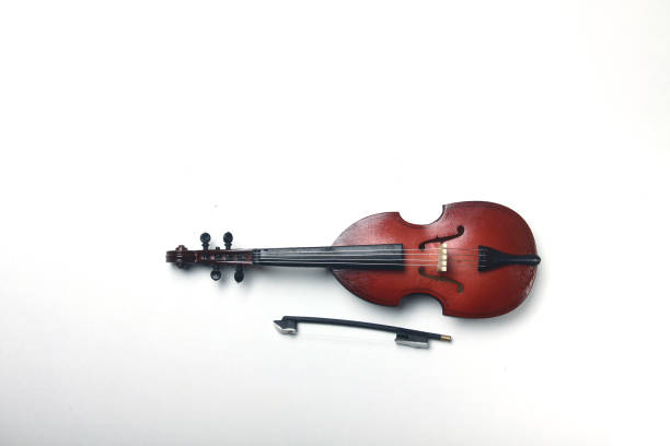 istock bass-viol isolated on white background 1184696761