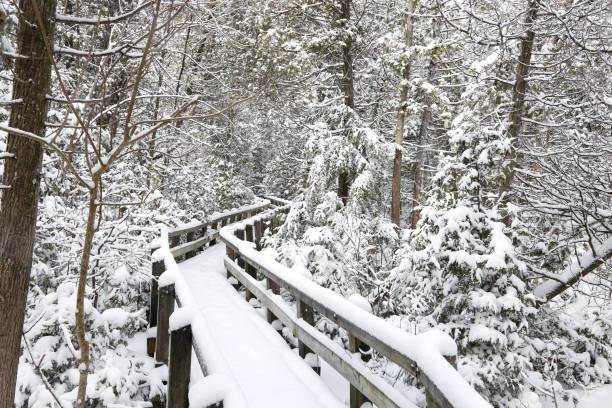 Beautiful snow scenery after a snow storm.