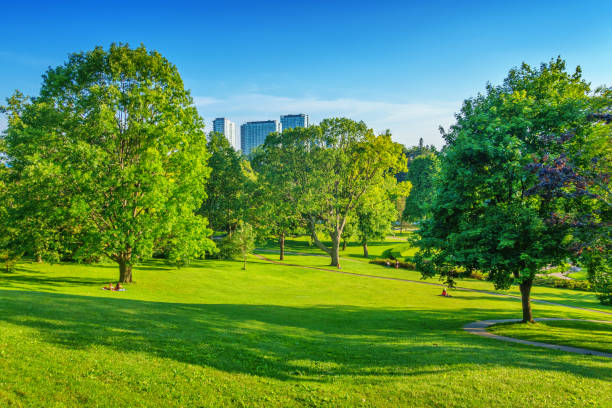 istock High Park in Toronto Ontario Canada 1184699128