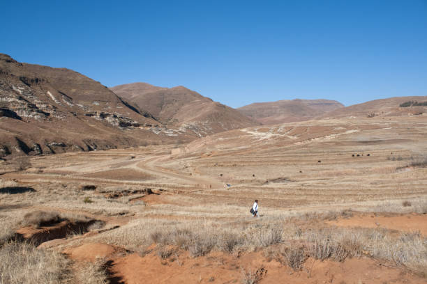 The dry mountains of Lesotho