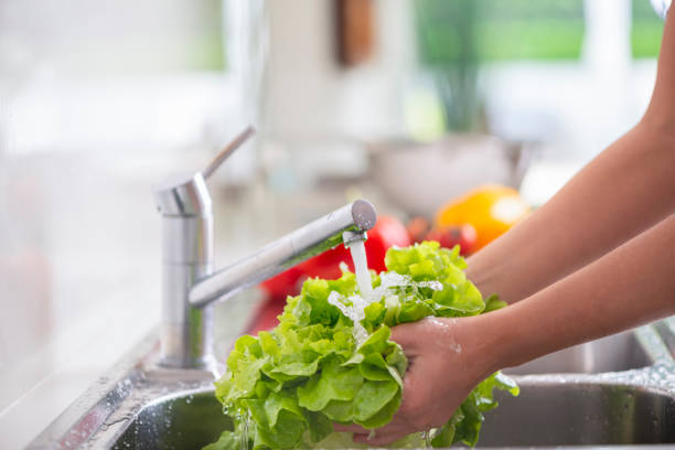 流しで明るい緑のレタスを洗う女性 - cleaning domestic kitchen clean chef ストックフォトと画像