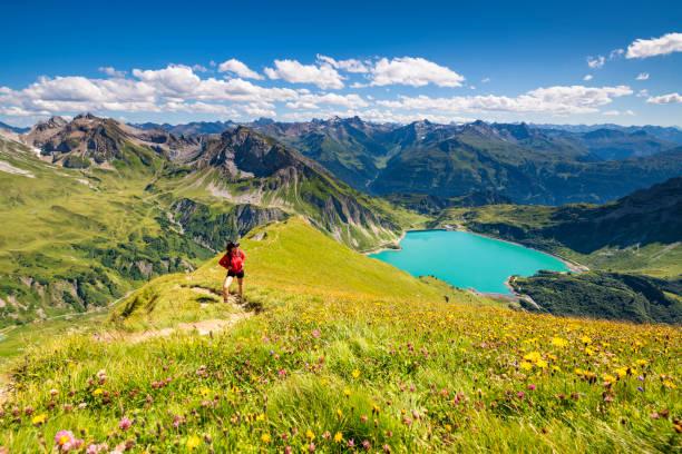 istock View to the Alps in Austria 1184703320