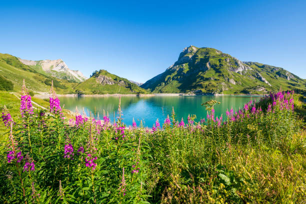 istock The lake Spullersee in the Lech valley 1184703331