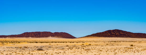 istock Lanscapes of Namibia 1184704144