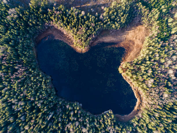 istock Aerial view of a Lake 1184706064