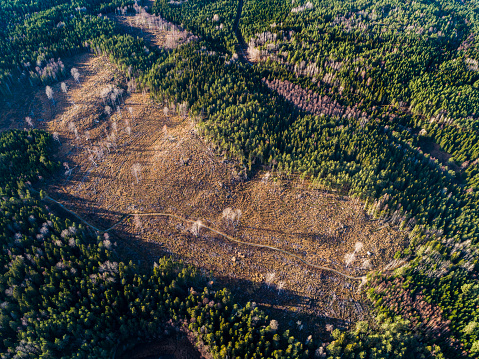 Aerial View over Deforestation