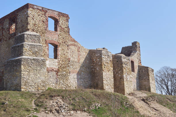 un castello formalmente ospita castellani che hanno sollevato il castello nel xiii secolo - bishop georgia foto e immagini stock