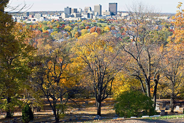 City on Tree Tops stock photo