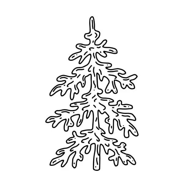 Vector illustration of hand-painted spruce. Isolated on a white background. Black and white wood. Vector illustration. simple stylized illustration of pine