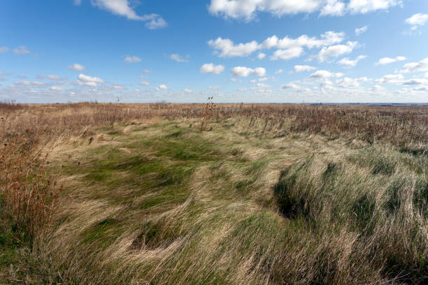 istock Prairie grass landscape in Blue Mounds State Park 1184711522