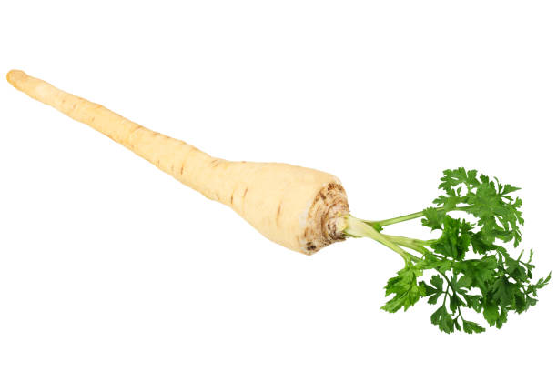 istock fresh parsley root isolated on white background 1184713912