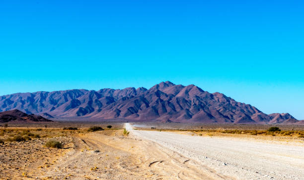 istock Landscapes of Namibia 1184714956