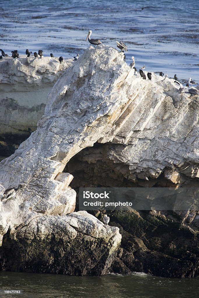 Costa de California, rocks - Foto de stock de Costa rocosa libre de derechos