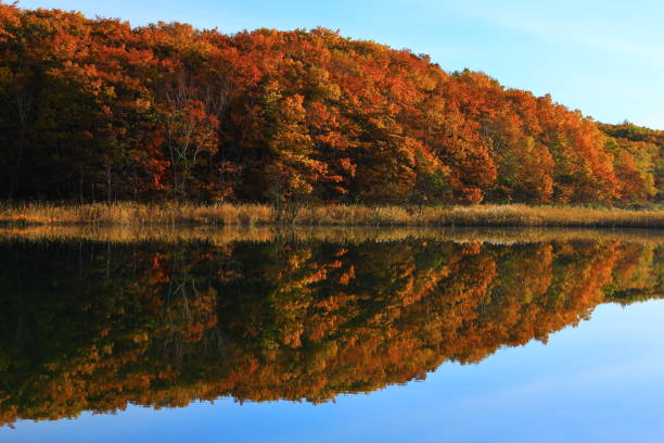 istock Hachimantai of colored leaves 1184722906