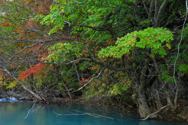 istock Hachimantai of colored leaves 1184722907