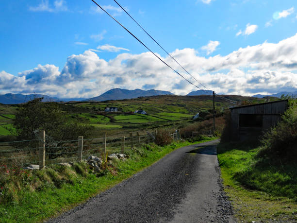 istock Lonely road and fields in western Ireland 1184723978