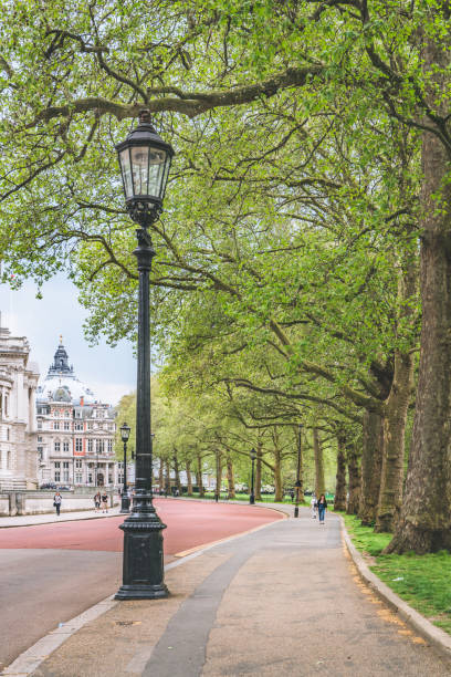 istock The Mall, London 1184731429