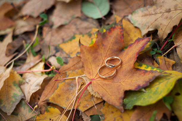 istock wedding rings on autumn leaves 1184732355