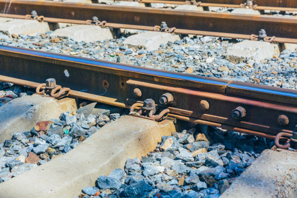 istock Rusty railroad tracks disappearing outdoors in green forest 1184733798