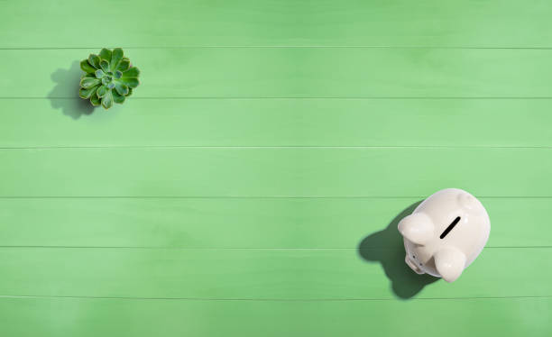 istock A white piggy bank overhead view 1184747472