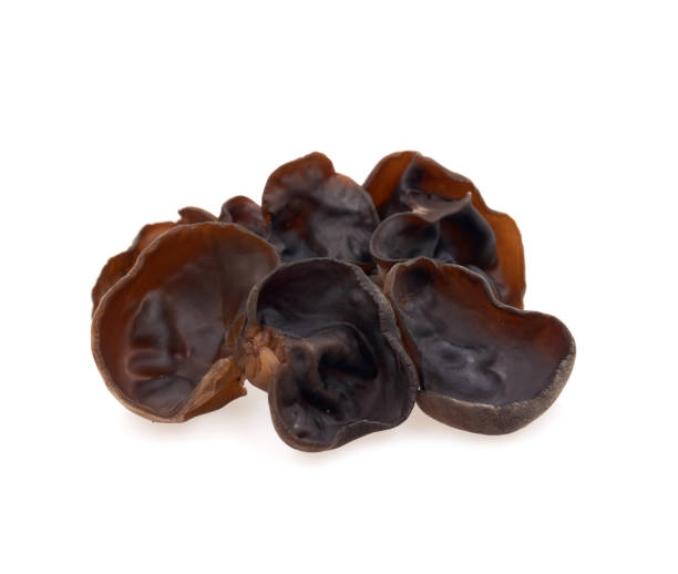 istock black fungus on white background 1184750819