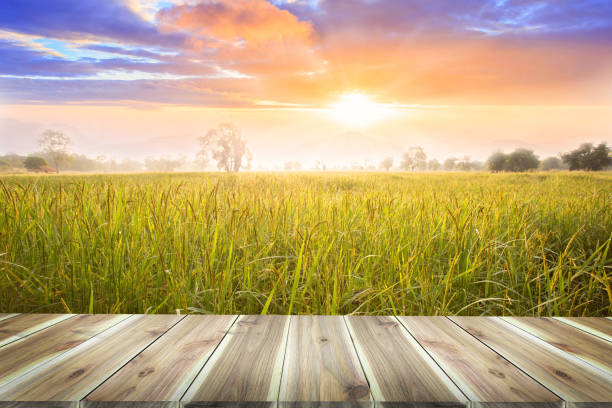 istock Brown wooden table board empty on Beautiful Organic paddy-field. 1184752629