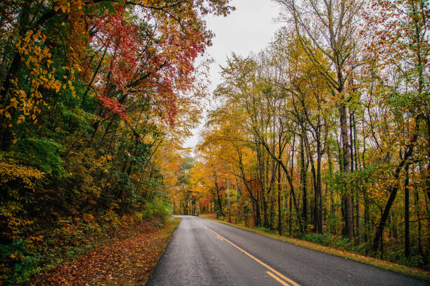 istock Autumn Colors Blue Ridge Parkway 1184753450