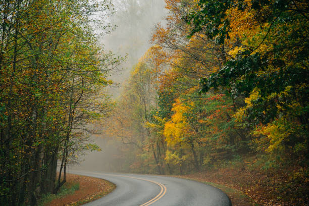 istock Autumn Colors Blue Ridge Parkway 1184753491