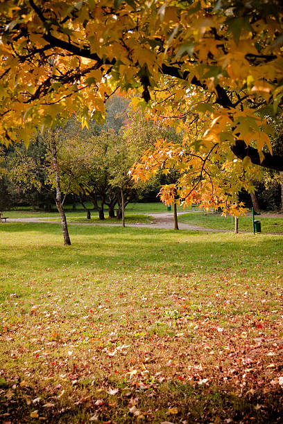 istock Public Park, Warm Autumn Colors 118476012