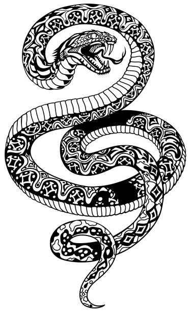 злая змея татуировка черно-белый - snake white curled up animal stock illustrations