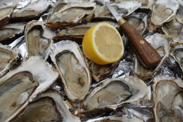 istock Open oysters arranged on a tray  Lemon  Oyster knife 1184766217