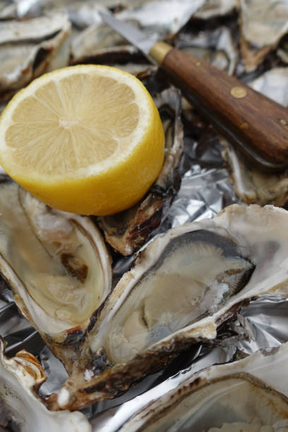 istock Open oysters arranged on a tray  Lemon  Oyster knife 1184766230