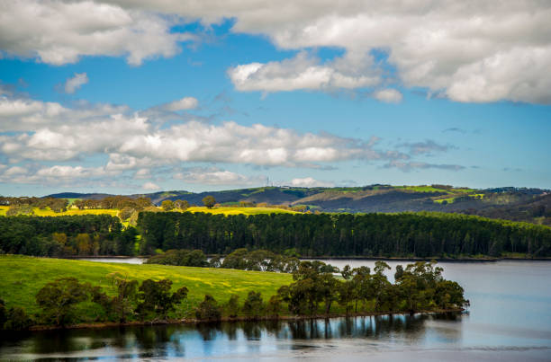 istock Myponga Reservoir 1184768125