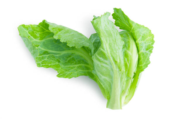 istock Young shoots of cabbage or Brussels sprout on isolated white background with clipping path. 1184769241