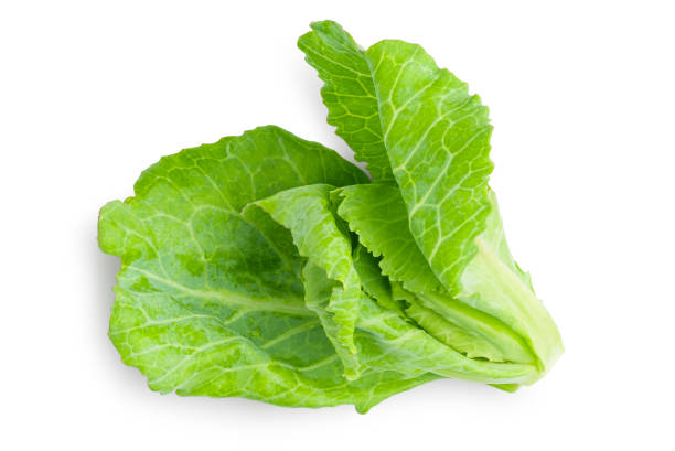 istock Young shoots of cabbage or Brussels sprout on isolated white background with clipping path. 1184769245