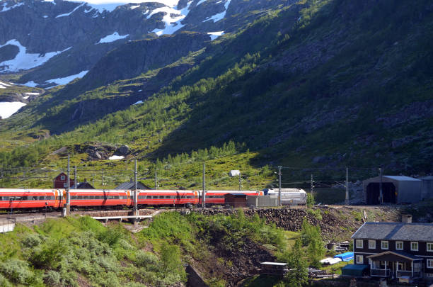 podróż koleją w norwegii.widoki w pociągu. flamsbana. - flam zdjęcia i obrazy z banku zdjęć