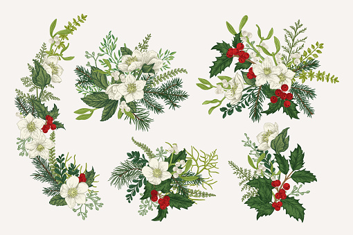 Set of Christmas bouquets. Vintage compositions with winter plants, berries and flowers. Vector botanical illustration. Colorful.