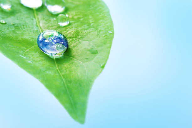 riflessione della caduta della terra in acqua su foglia verde con sfondo chiaro, giornata della terra e concetto di ambiente, elementi di questa immagine forniti dalla nasa - reflection on the water foto e immagini stock