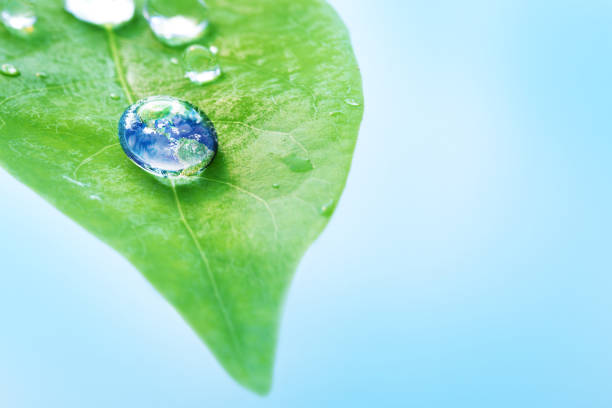 Earth in water drop reflection on green leaf with light background, earth day and environment concept, Elements of this image furnished by NASA stock photo
